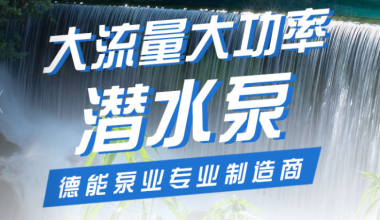湖南德能泵業(yè)有限公司